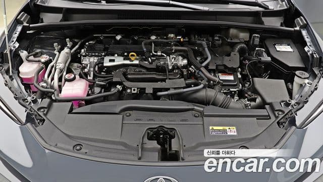 Toyota Prius 2024 — Фото 5/20