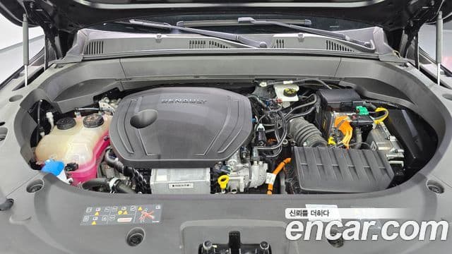 Renault Samsung Grand Koleos 2024 — Фото 6/20
