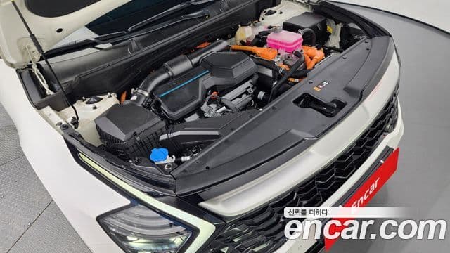 Kia Sportage 2023 — ფოტო 6/20