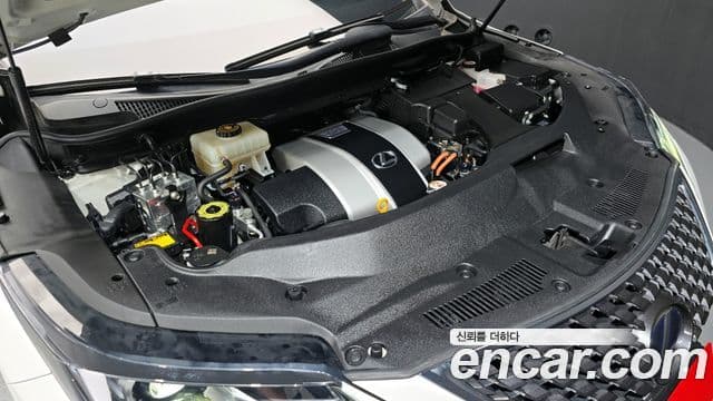 Lexus RX450h 2020 — Şəkil 6/20