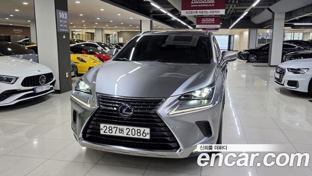 Lexus NX300h 2021 — Şəkil 5/20