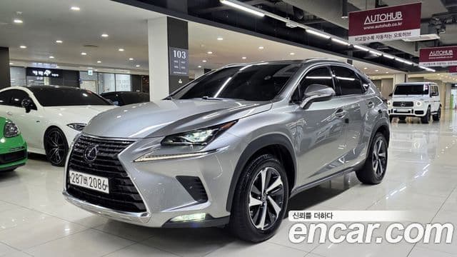 Lexus NX300h 2021 — Şəkil 6/20