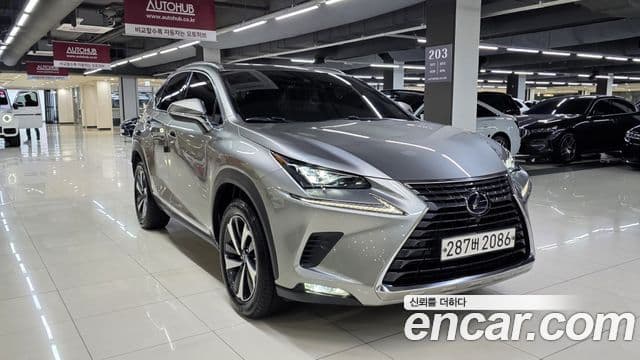 Lexus NX300h 2021 — Şəkil 17/20