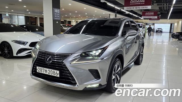 Lexus NX300h 2021 — Şəkil 9/20