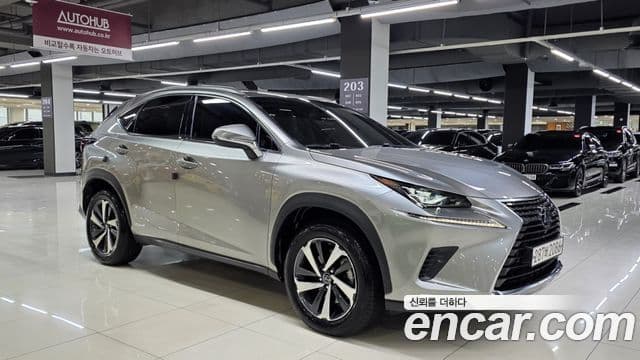 Lexus NX300h 2021 — Şəkil 12/20
