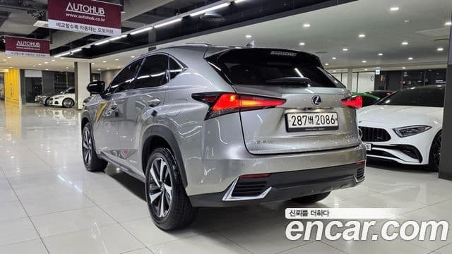 Lexus NX300h 2021 — Şəkil 16/20