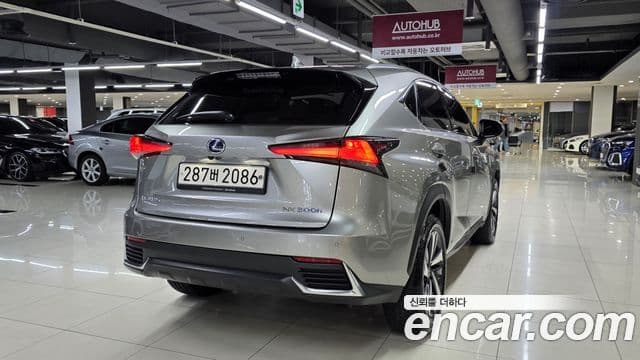 Lexus NX300h 2021 — Şəkil 4/20