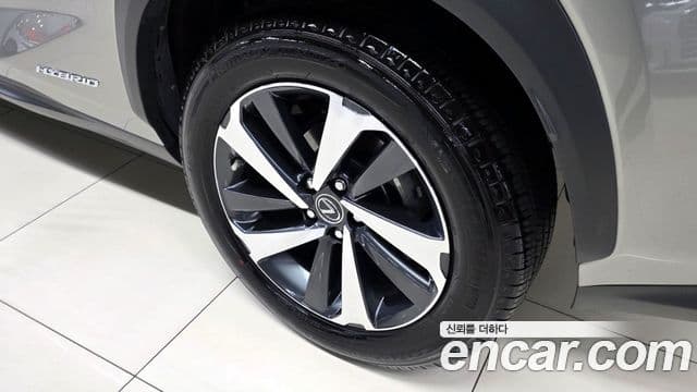 Lexus NX300h 2021 — Şəkil 15/20