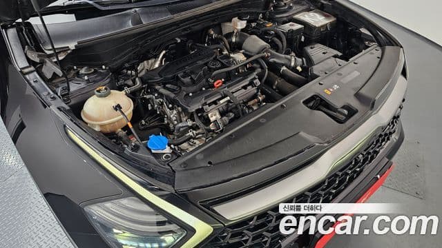 Kia Sportage 2021 — ფოტო 6/20