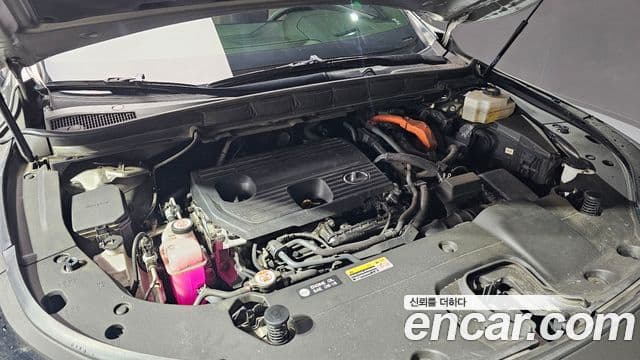 Lexus RX350h 2023 — ფოტო 5/20
