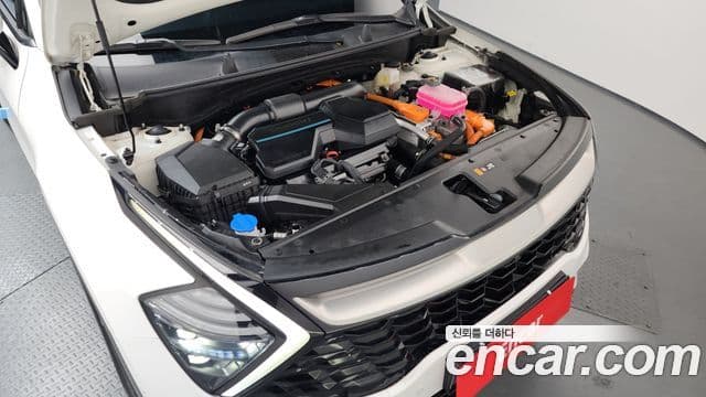 Kia Sportage 2024 — Şəkil 6/20