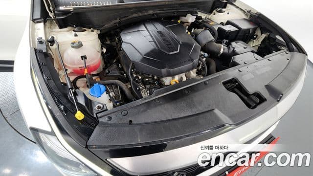 Kia Sportage 2021 — ფოტო 6/20