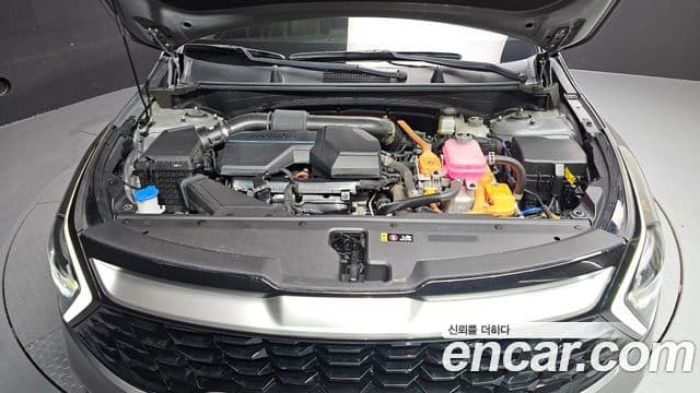 Kia Sportage 2022 — ფოტო 6/20