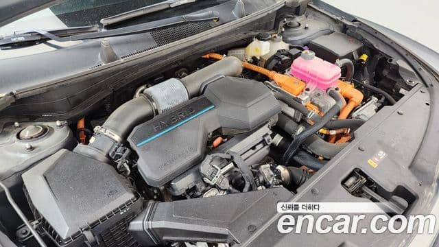 Kia Sportage 2022 — ფოტო 5/20