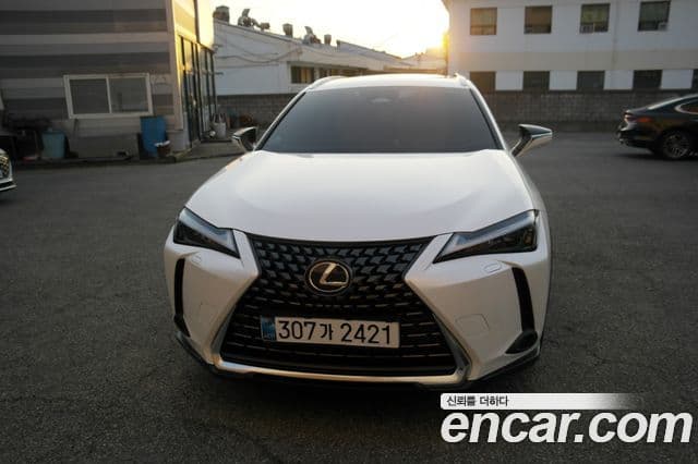 Lexus UX300h 2024 — Photo 19/20