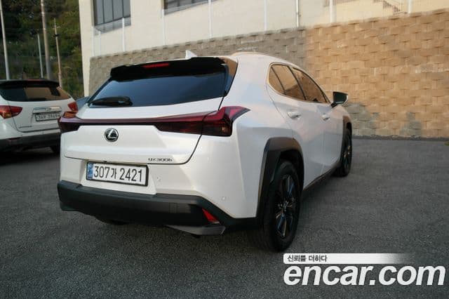 Lexus UX300h 2024 — Photo 11/20
