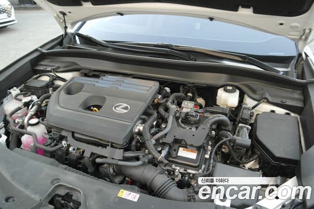 Lexus UX300h 2024 — Photo 8/20