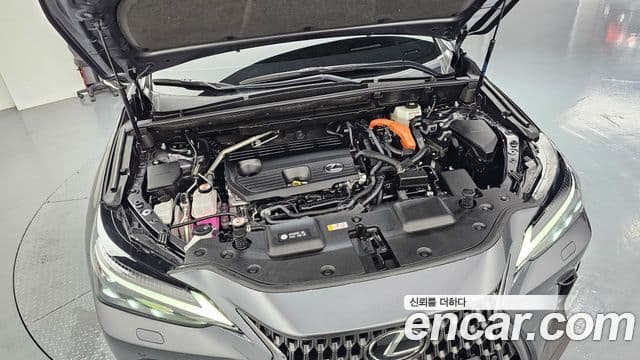 Lexus NX350h 2025 — Photo 6/37