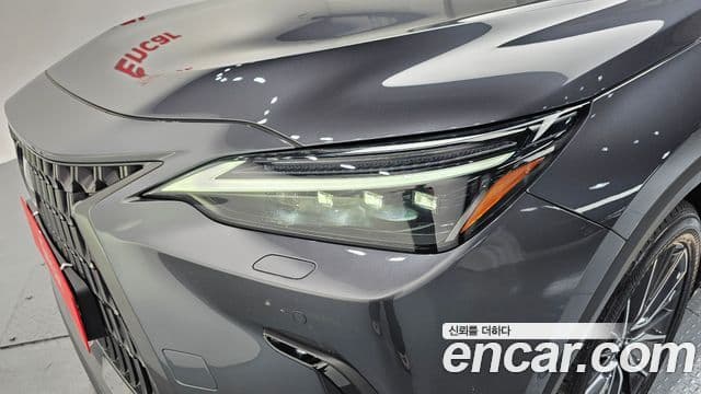 Lexus NX350h 2025 — Photo 4/37