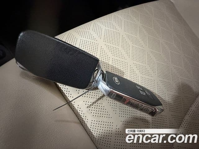 Kia Carnival 2021 — ფოტო 14/15