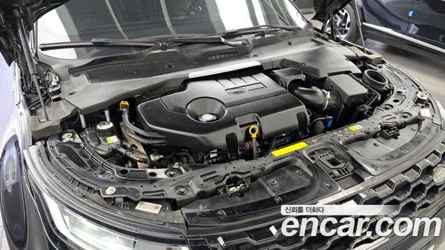 Land Rover Range Rover Evoque 2020 — ფოტო 6/20