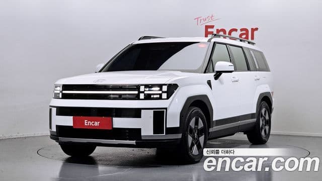 Hyundai Santa Fe 2024 — ფოტო 1/20
