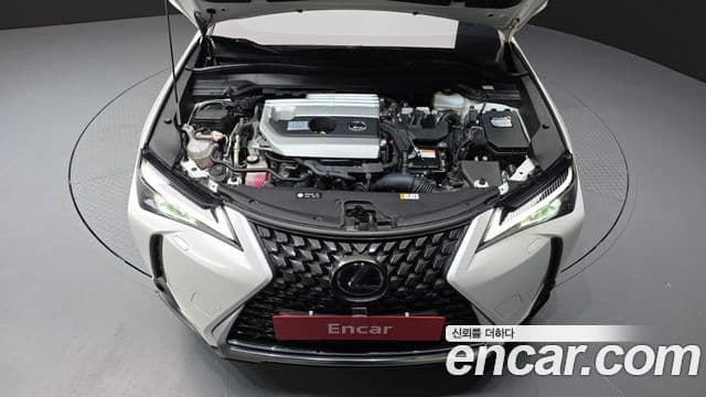 Lexus UX250h 2021 — ფოტო 6/20