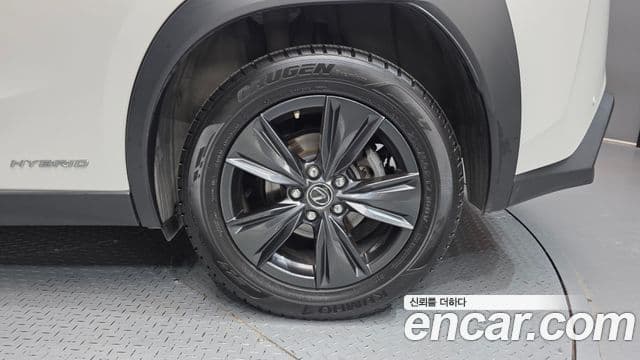Lexus UX250h 2021 — Photo 11/30