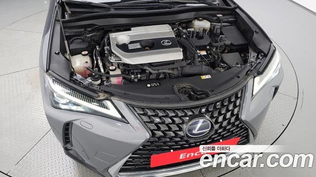 Lexus UX250h 2019 — ფოტო 6/20