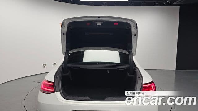 Mercedes-Benz CLS-Class 2020 — Photo 16/20