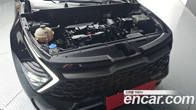 Kia Sportage 2023 — ფოტო 6/20
