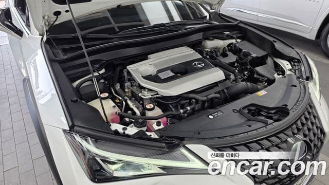 Lexus UX250h 2019 — Photo 14/20