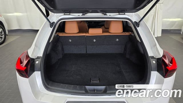 Lexus UX250h 2019 — Photo 12/20