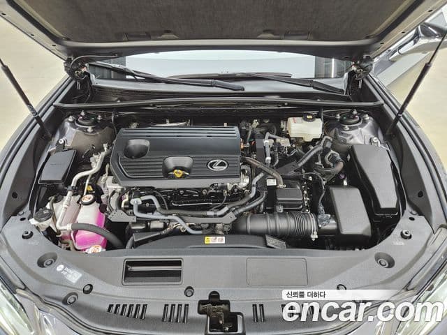Lexus ES300h 2023 — ფოტო 16/20