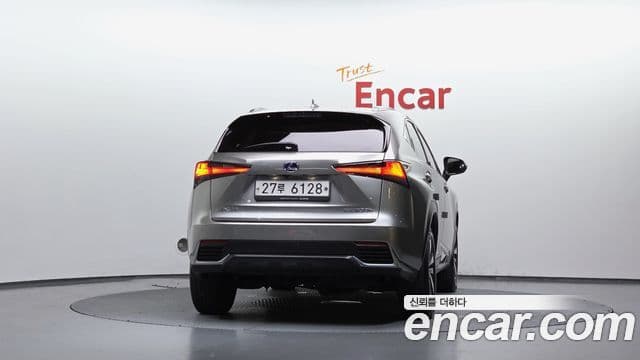 Lexus NX300h 2019 — Şəkil 4/20