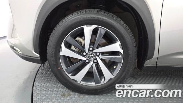 Lexus NX300h 2019 — Şəkil 5/20