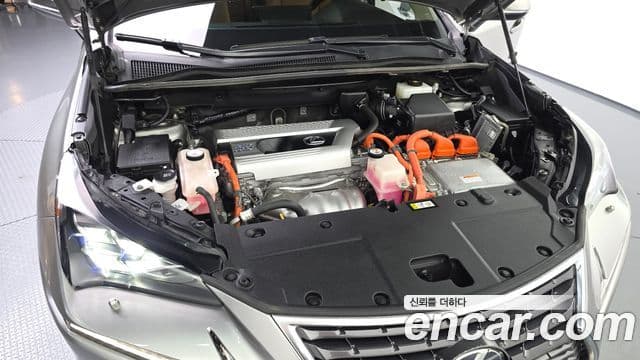 Lexus NX300h 2019 — Şəkil 6/20