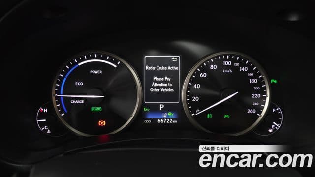 Lexus NX300h 2019 — Şəkil 8/20