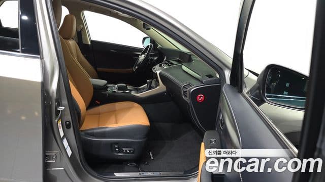 Lexus NX300h 2019 — Şəkil 11/20