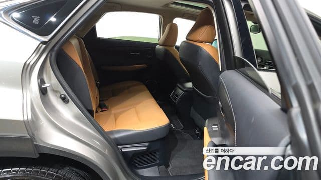 Lexus NX300h 2019 — Şəkil 12/20