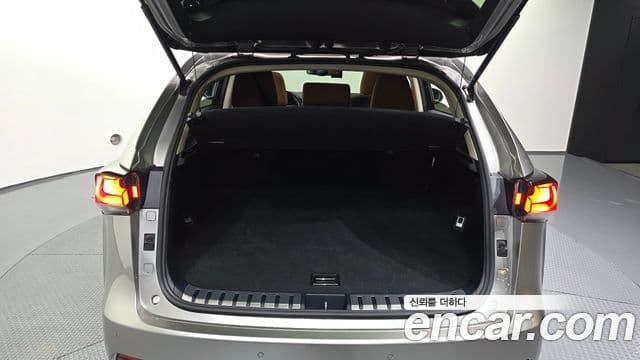 Lexus NX300h 2019 — Şəkil 20/20