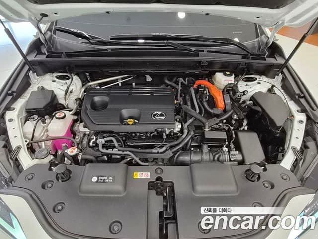 Lexus NX350h 2022 — Şəkil 6/15