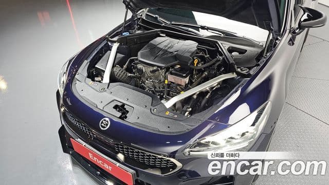 Kia Stinger 2021 — Şəkil 5/20
