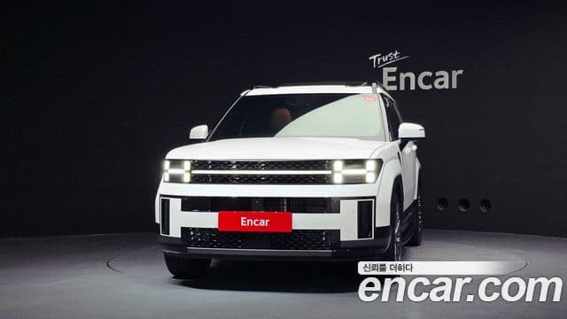 Hyundai Santa Fe 2025 — ფოტო 3/20