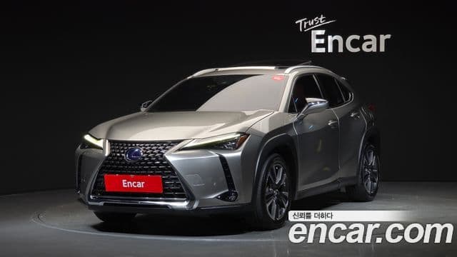 Lexus UX250h 2019 — Şəkil 1/20