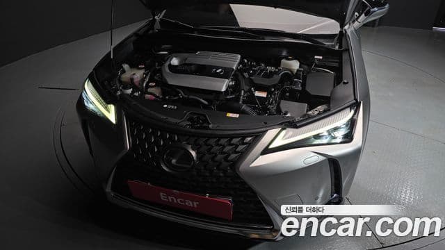 Lexus UX250h 2019 — Şəkil 6/20