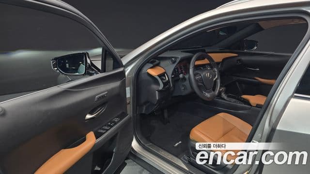 Lexus UX250h 2019 — Şəkil 10/20