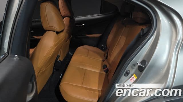 Lexus UX250h 2019 — Şəkil 12/20