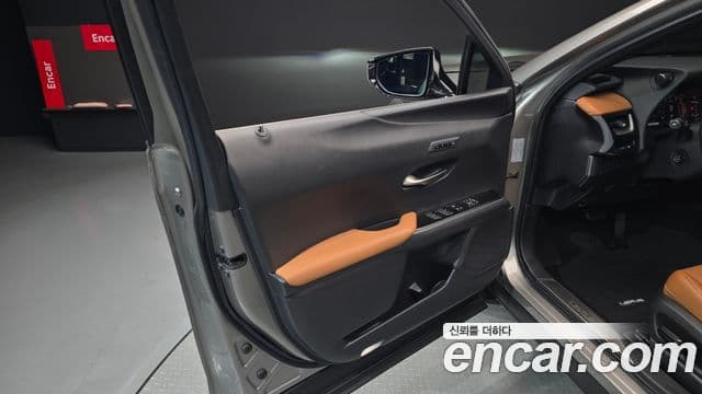 Lexus UX250h 2019 — Photo 31/31