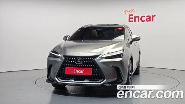 Lexus NX350h 2025 — Şəkil 3/20